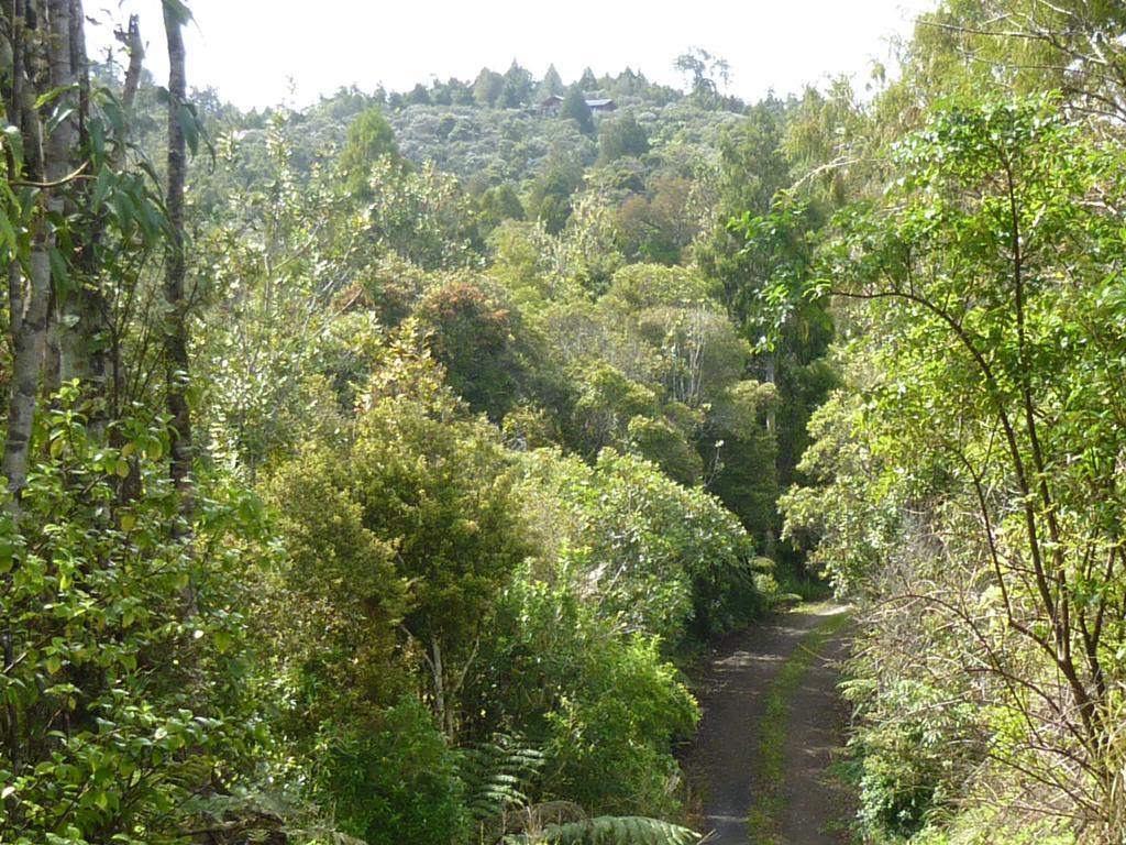 Fern Ridge Hideaway Willa Victoria Valley Zewnętrze zdjęcie
